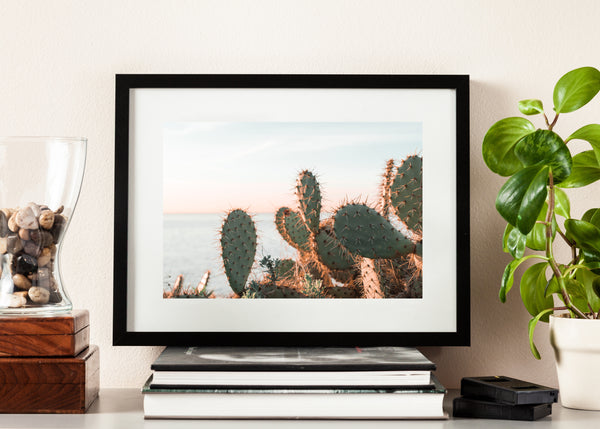 Cactus Art Print - Impress Prints